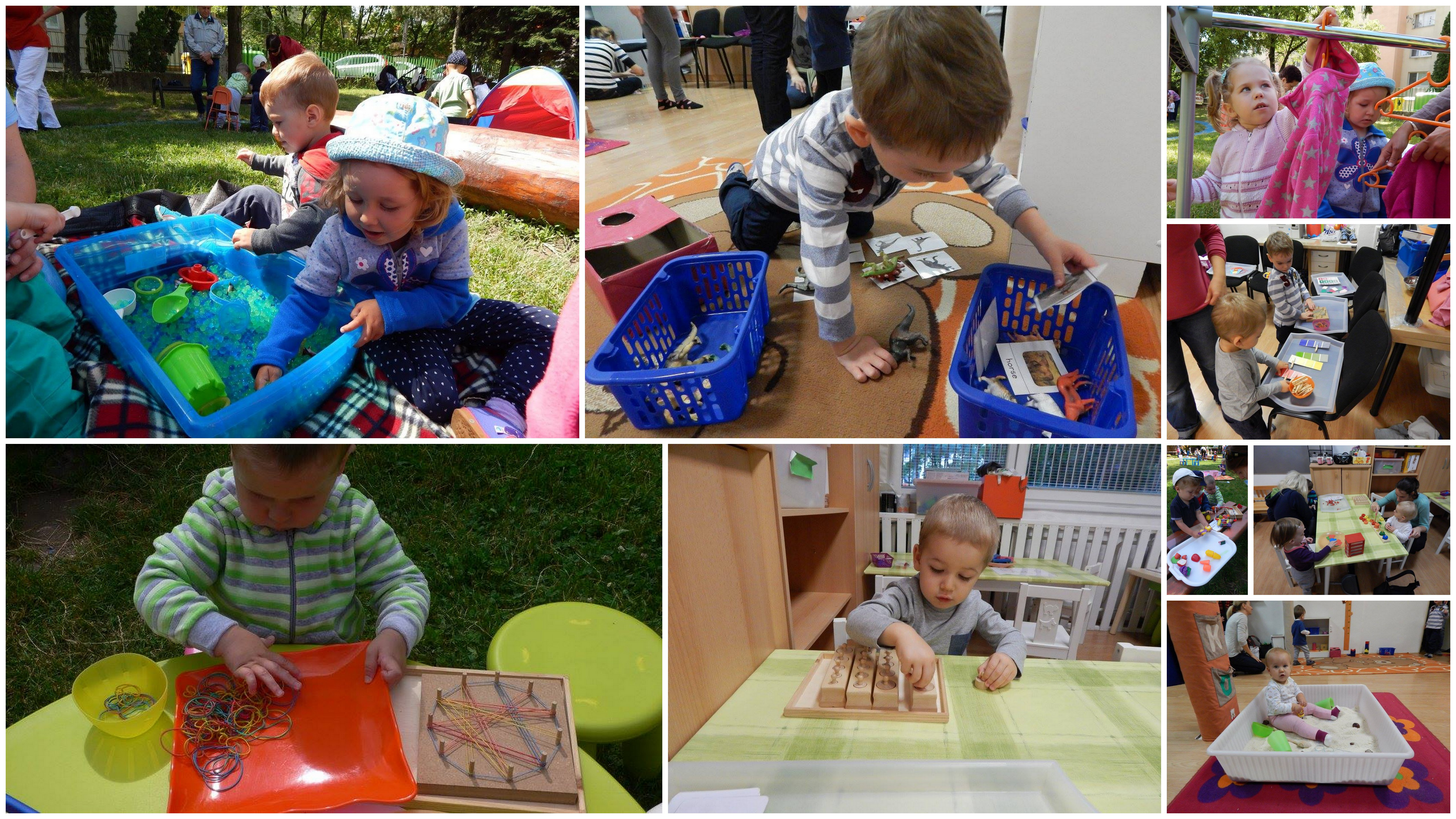 20161201-kolaze-macko1